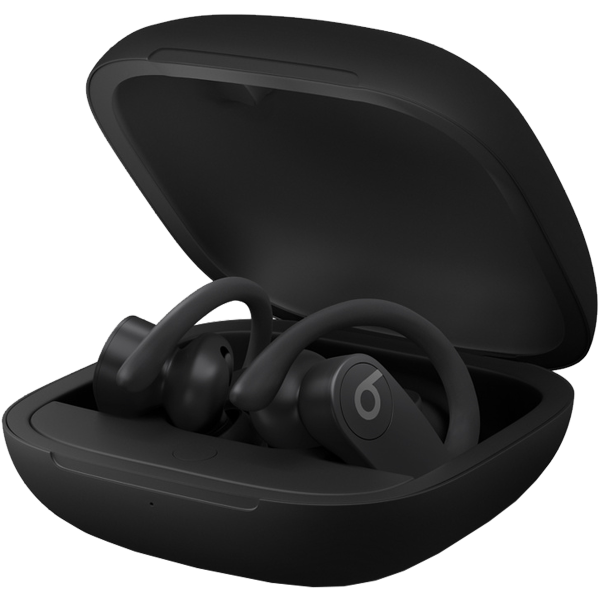 Beats by Dr.Dre Powerbeats Pro Wireless Earphones | Zwart