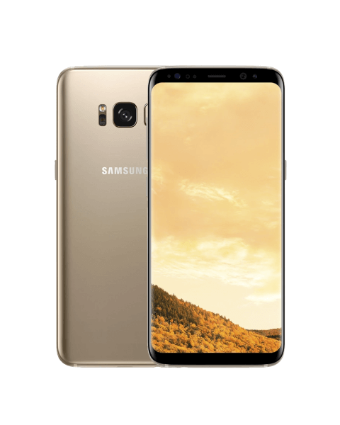 Samsung Galaxy S8+ 64GB goud