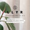 Llyr 2-in-1 Uitneembare Slang Bookcase iPhone 11 - Wit - Wit / White