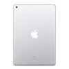 iPad 2017 32GB WiFi + 4G Zilver